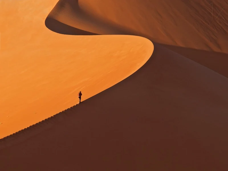 Orange Dune Solitude