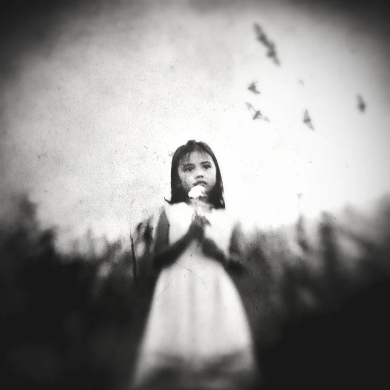 Wistful Child and Birds