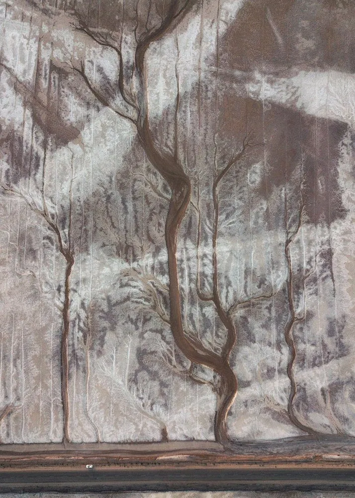 Branching Earth Patterns