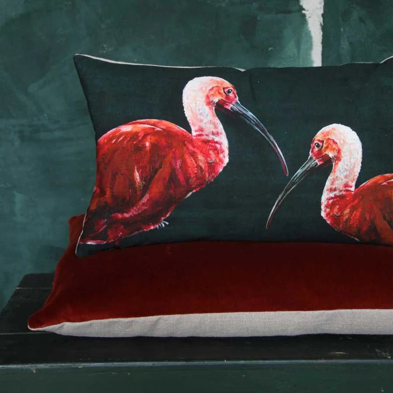 Kissen Ibis