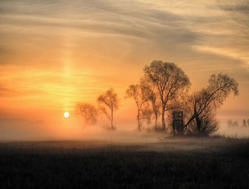 Golden Misty Sunrise
