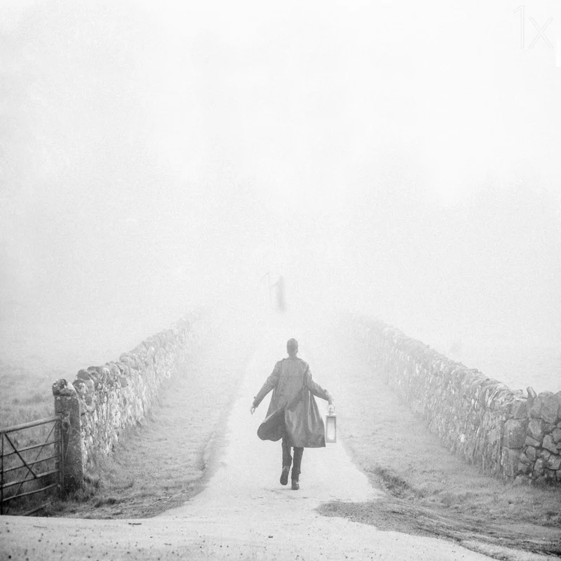 Into The Fog