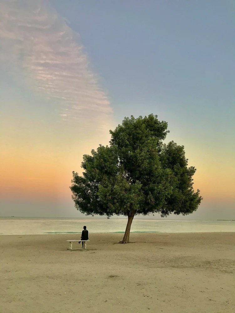 Beach Tree At Sunset