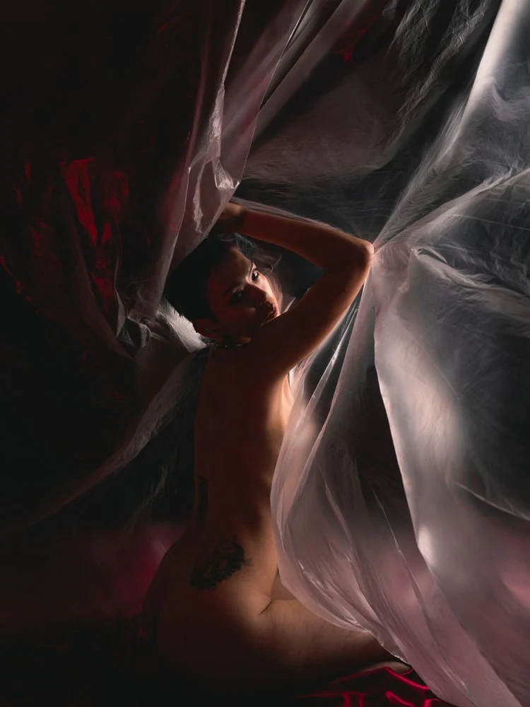 Mysterious Sheer Nude