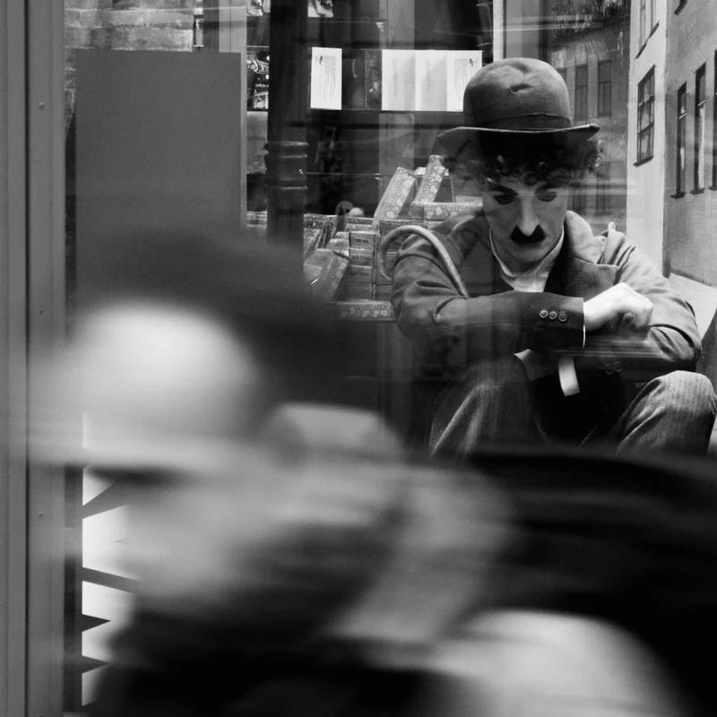 Tramp Character Reflection