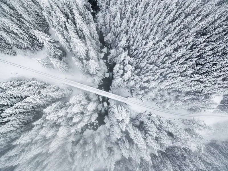 Snowy Forest River Bridge