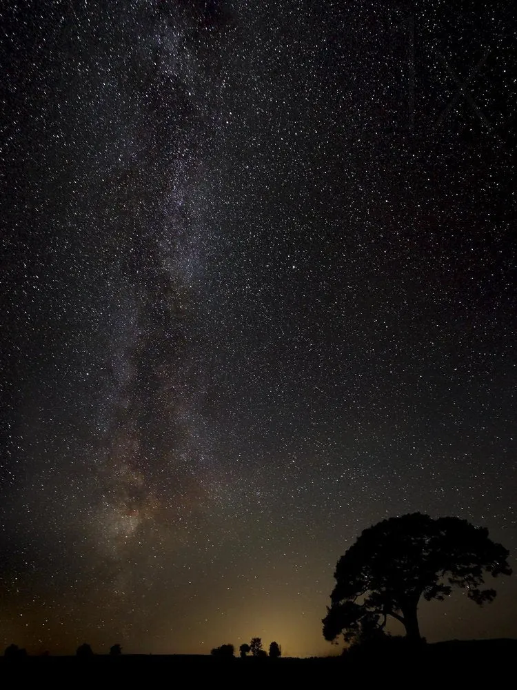 Milky Way Over Lone Tree