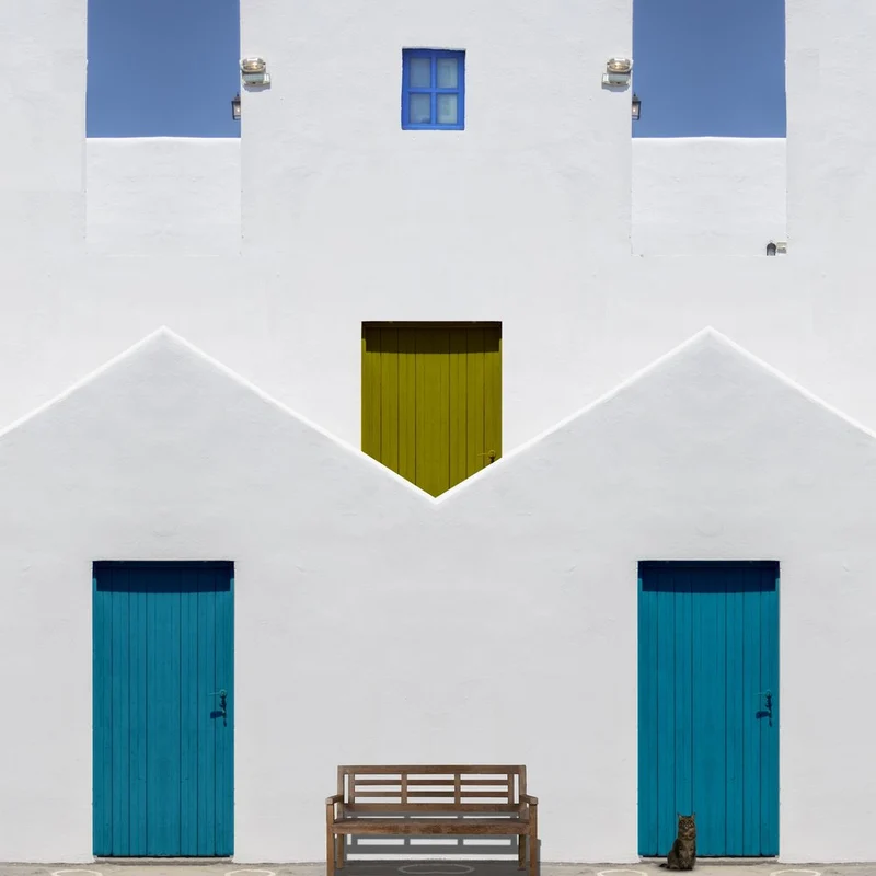 Colorful Facade Cat
