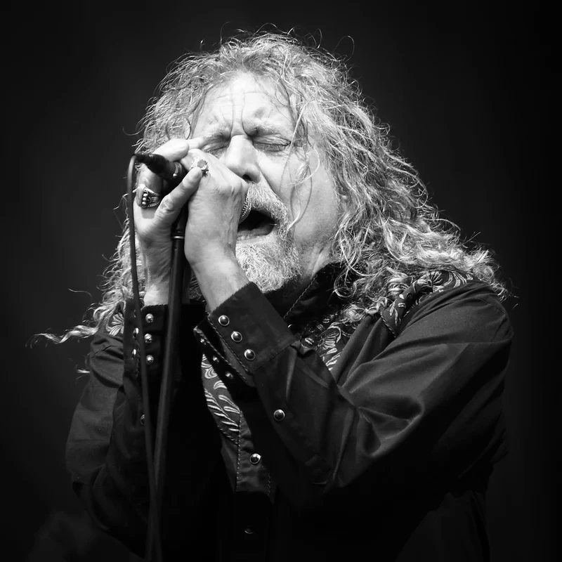 Rock Singer Harmonica