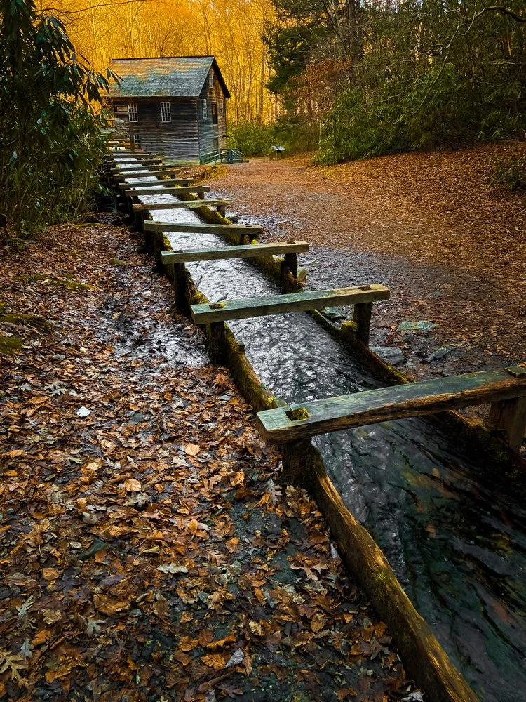 Autumn Woods Water Mill
