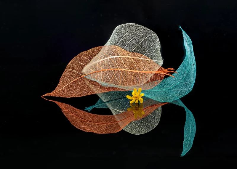 Ethereal Botanical Still Life