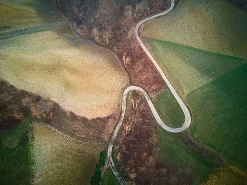 Winding Road Through Fields