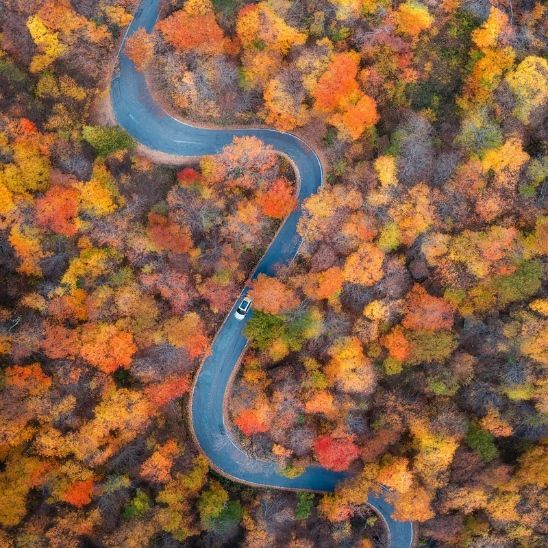 Vibrant Autumn Road Trip