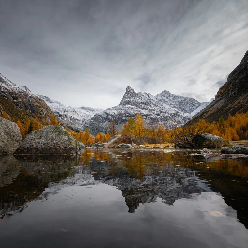 Golden Alpine Reflection