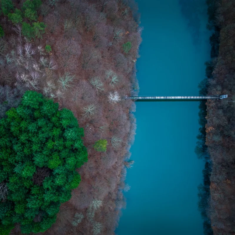 Emerald Forest River Bridge