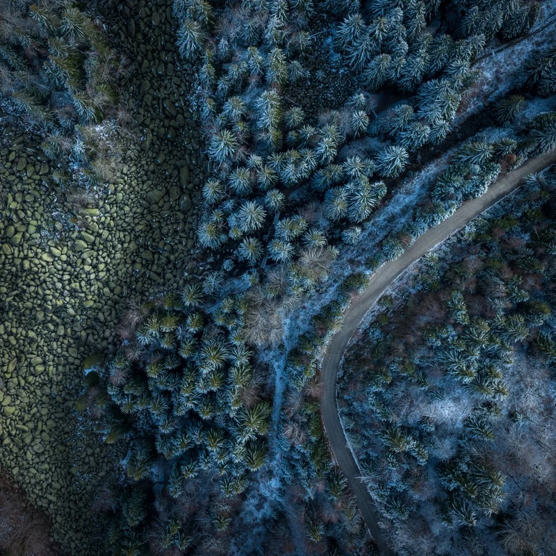Winter Forest Road