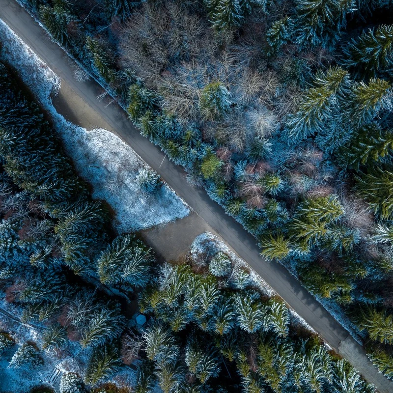 Winding Winter Forest Road