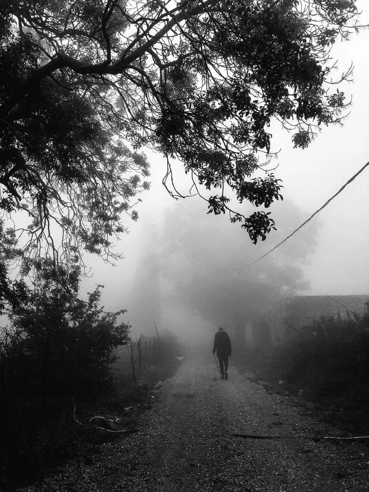 Solitary Walk in Fog