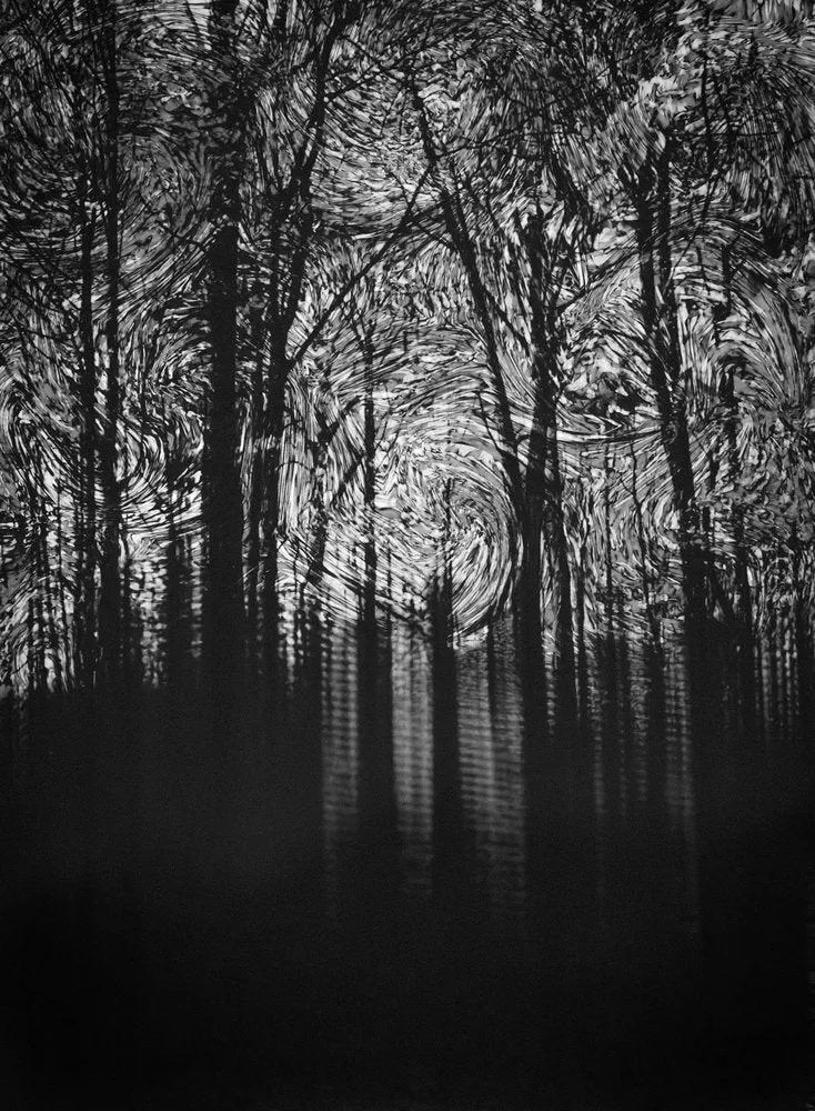 Dramatic Forest Swirls