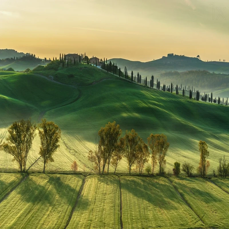 Tuscan Sunrise Hills