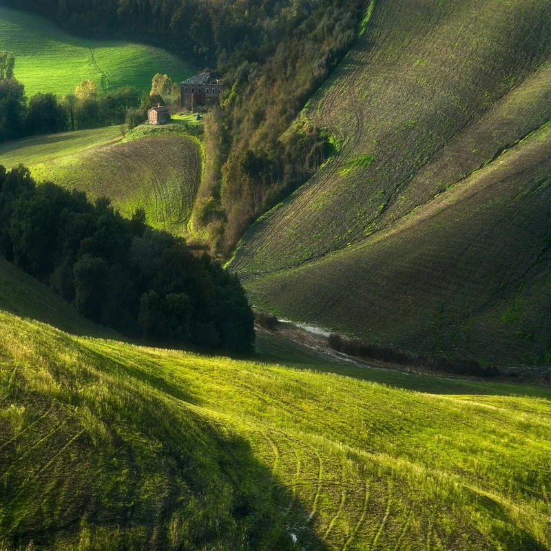 Sunlit Green Valley