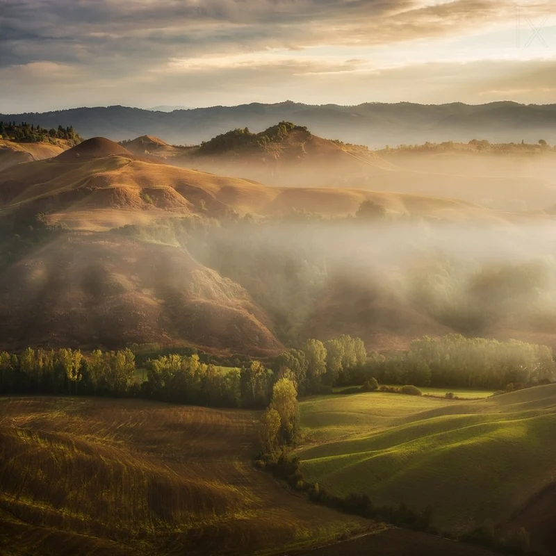 Misty Golden Hills