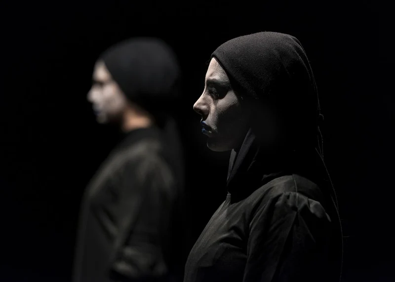 Mysterious Hooded Woman