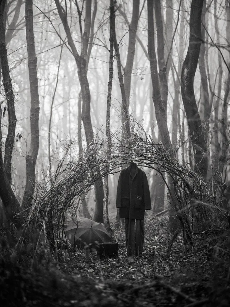 Mysterious Forest Traveler