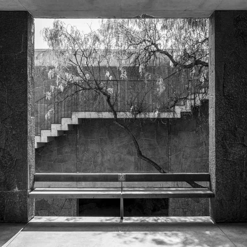 Staircase Tree Bench