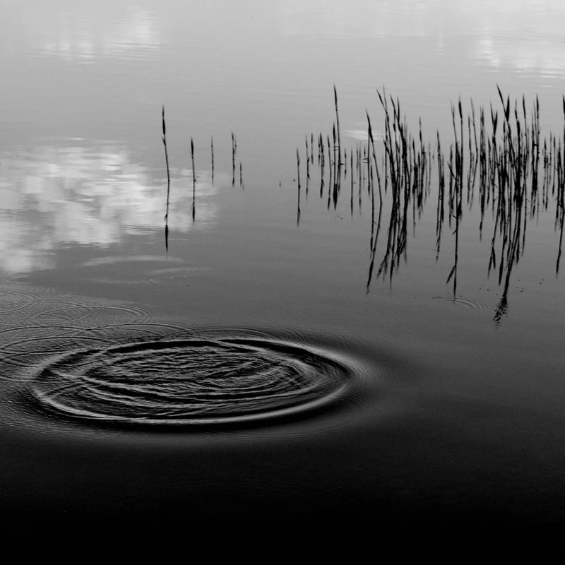 Monochromatic Water Ripples