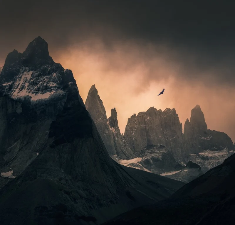 Soaring Bird Dark Mountains