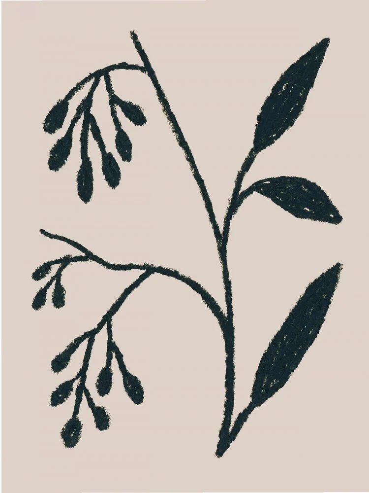Minimalist Botanical Drawing