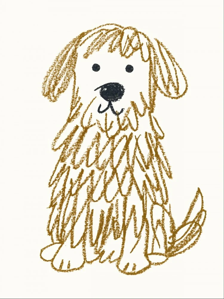 Cute Shaggy Dog