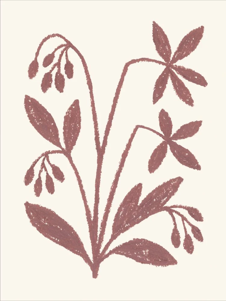 Organic Plant Sketch