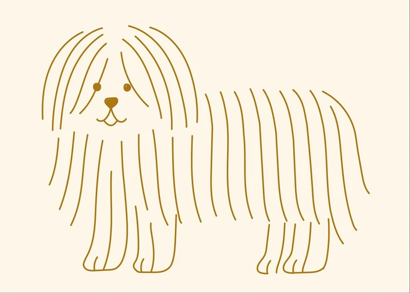 Friendly Shaggy Puppy