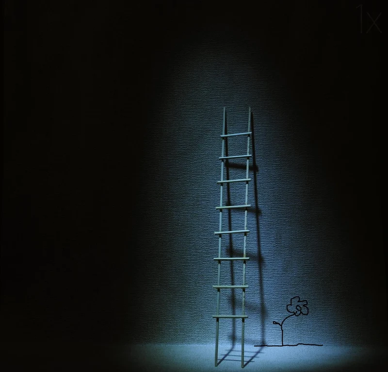Ladder to Growth