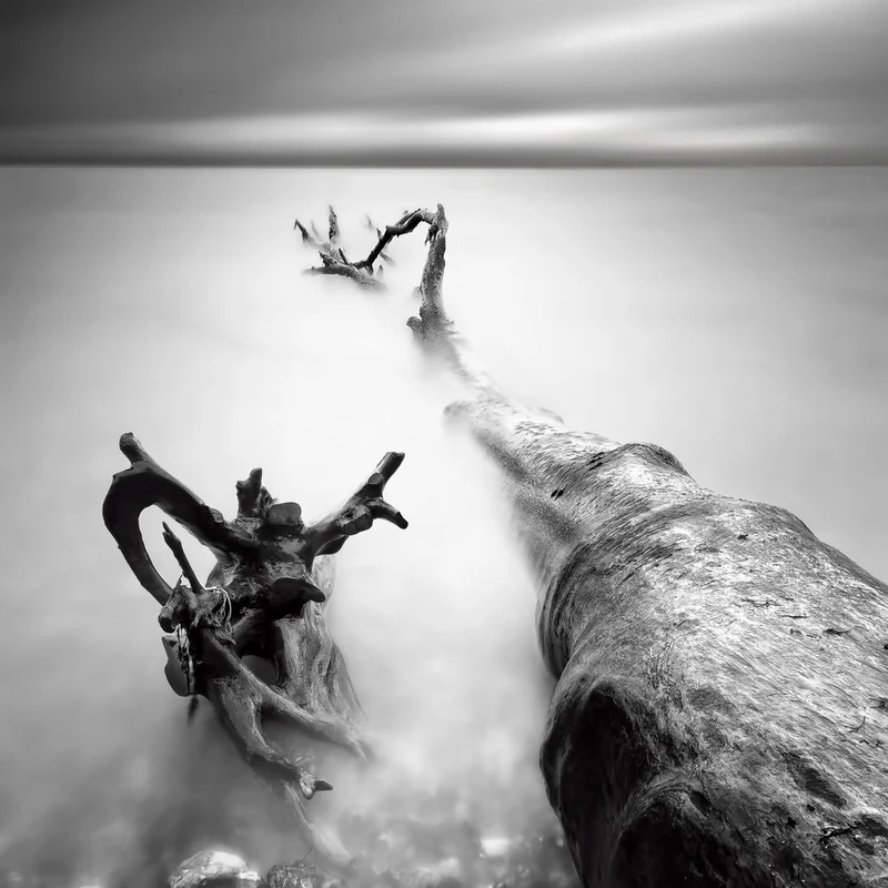 Misty Driftwood Serenity