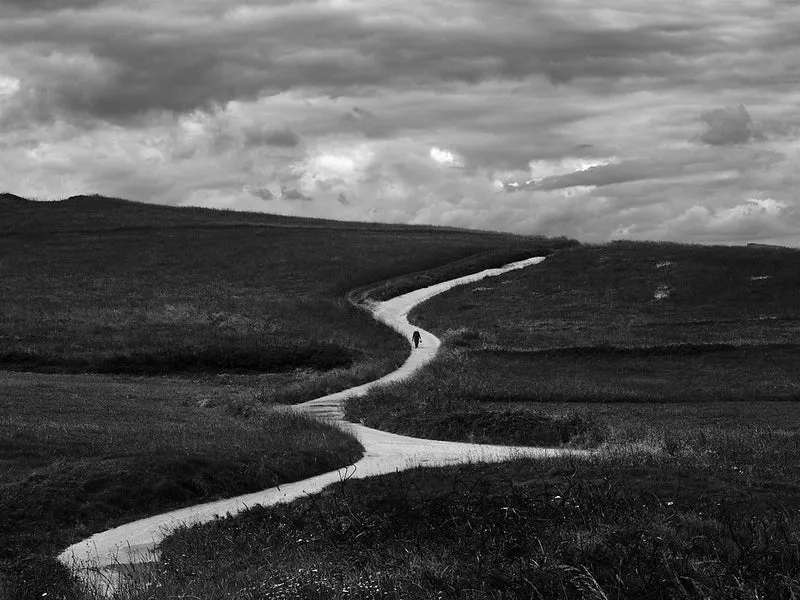 Winding Path Walk