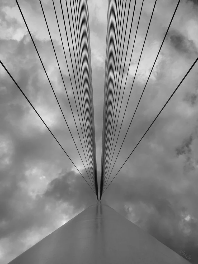 Skyward Bridge Symmetry