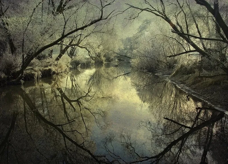 Frosted River Reflections