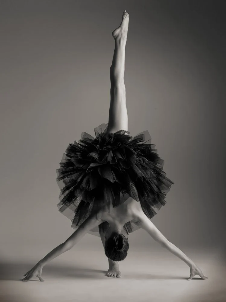 Elegant Black Tutu Dance