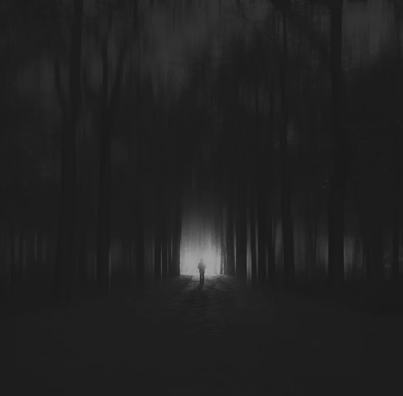 Mysterious Forest Light Path