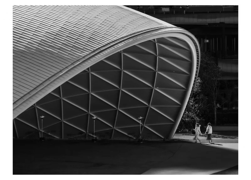 Geometric Curve Stroll