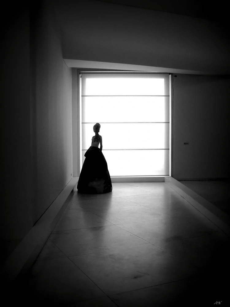 Elegant Woman Window Silhouette
