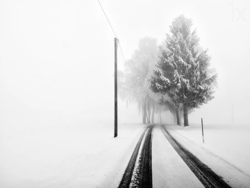 Foggy Winter Road