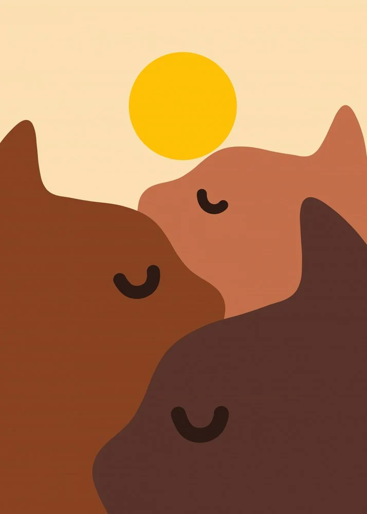 Sleeping Cats Warm Sun