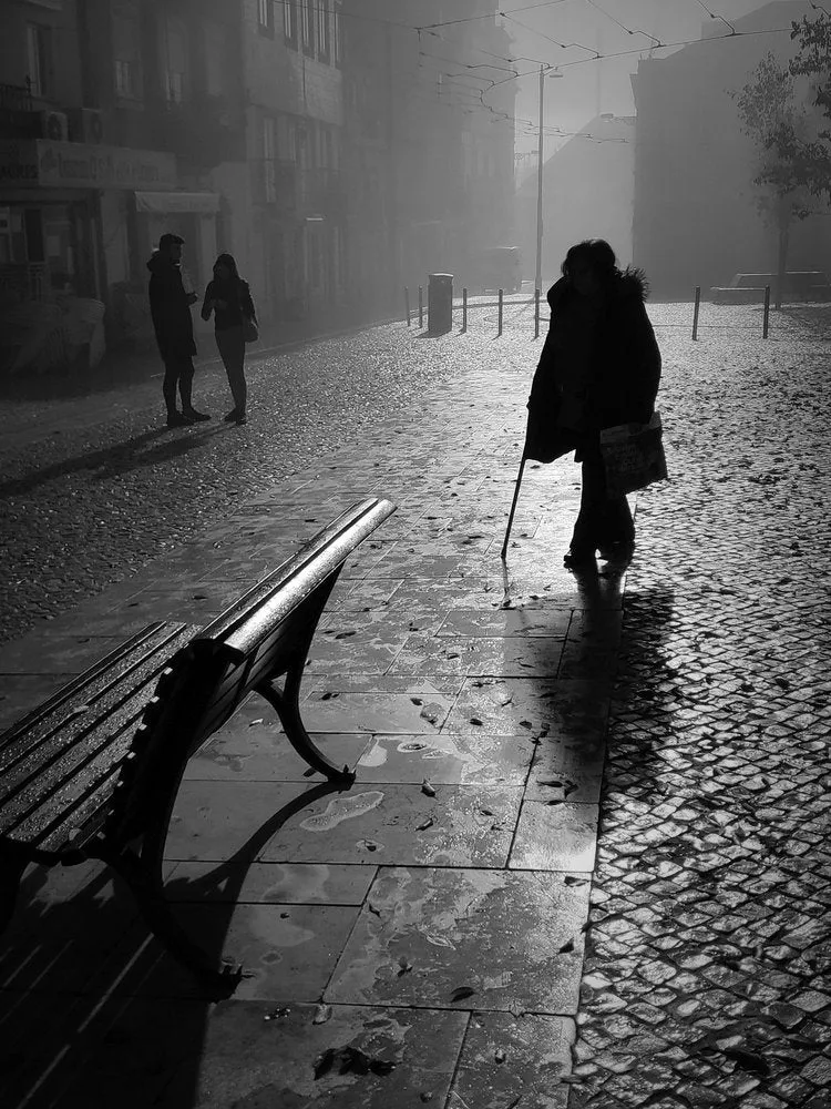 Foggy Morning Street Scene