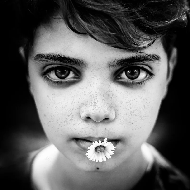 Boy With Daisy Flower