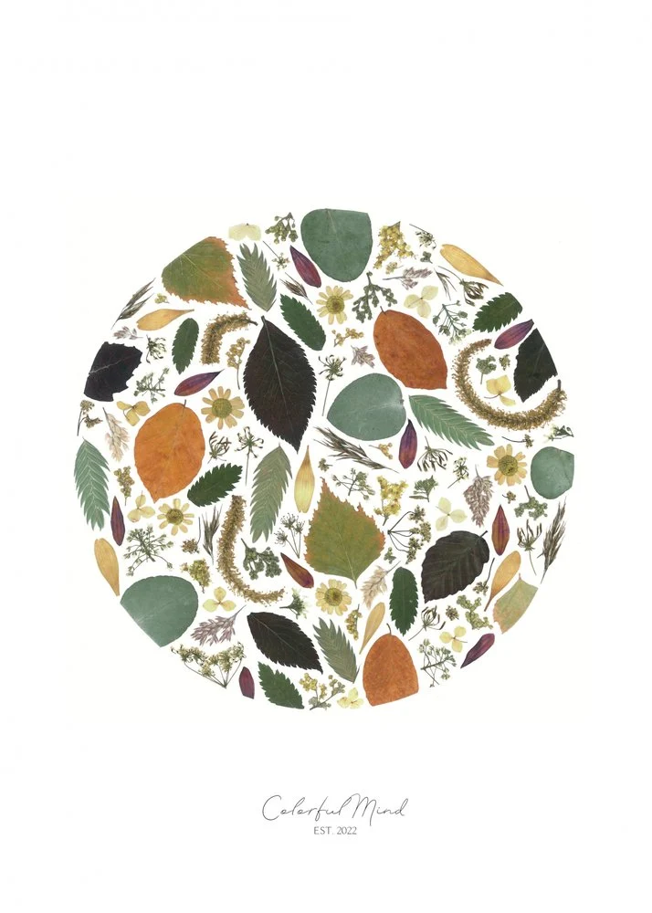 Colorful Botanical Circle