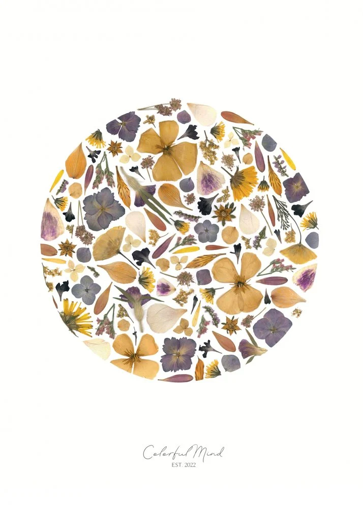 Pressed Flower Circle